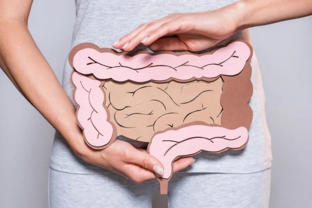 The Future of Gut Health: Emerging Research and Exciting&nbsp;Developments